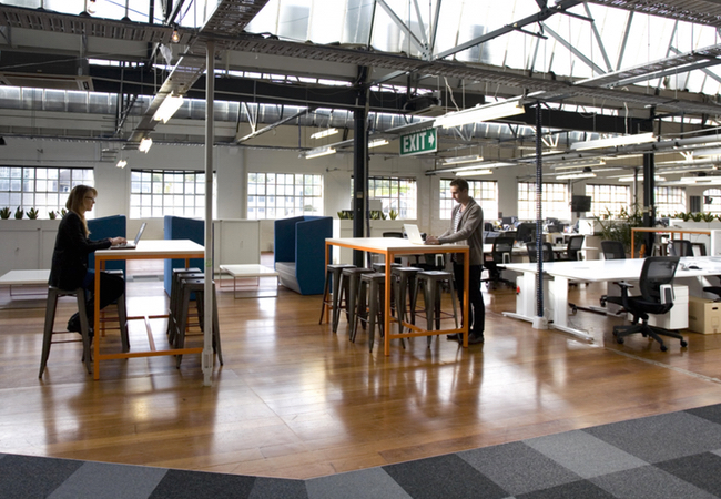 The Icehouse – Auckland Coworking Offices