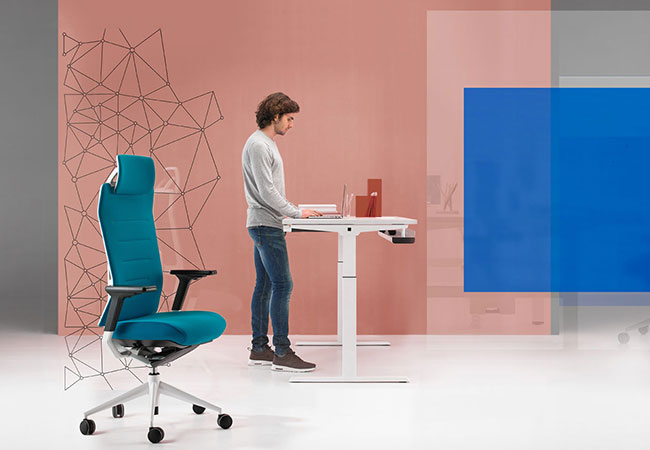 ergonomia