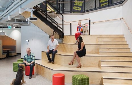Le explicamos por qué las compañías invierten en el diseño de oficina