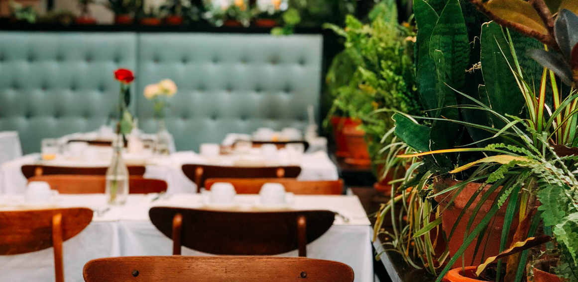 4. Unsplash_Restaurante con diseño biofilico y vegetacion con mobiliario de madera