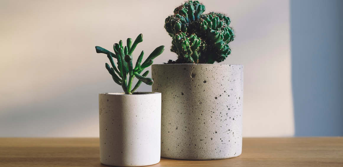 Plantas con macetas de colores, sostenibilidad y eco