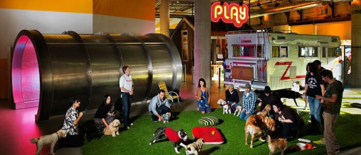 Ejemplo-de-sala-de-juegos-petfriendly-en-oficina