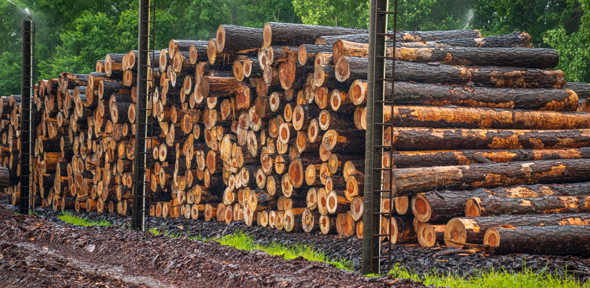 Pexels_Material madera para carpintería a medida en fábricas de carpintería en Galicia y Madrid