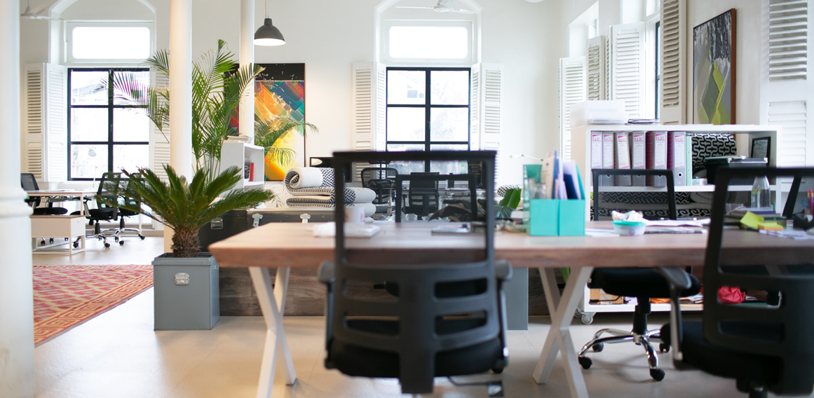 espacio de trabajo y oficina con plantas, mesas, sillas, tencología