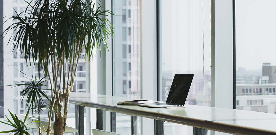 Unsplash ordenador en mesa de zona comun de oficina con mesa y vegetacion en ventanas