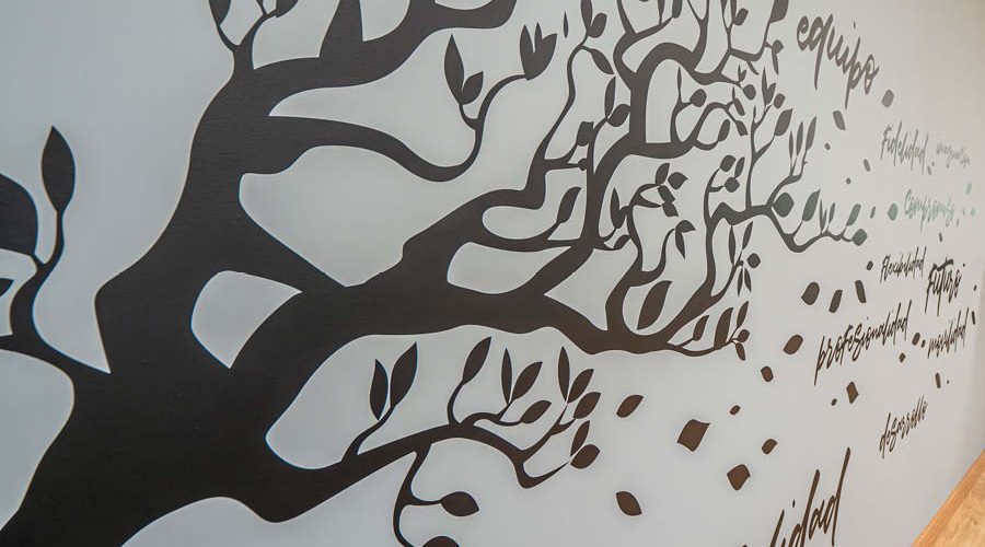 Vinilo de pared para oficina en Valladolid