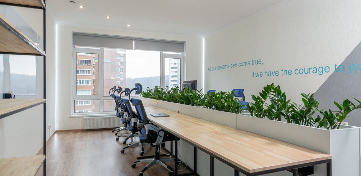vegetación en espacio de trabajo