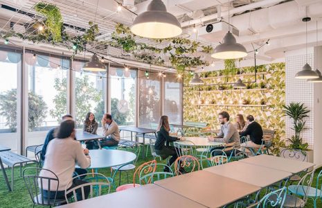 Work café: Una iniciativa que cambiará su oficina