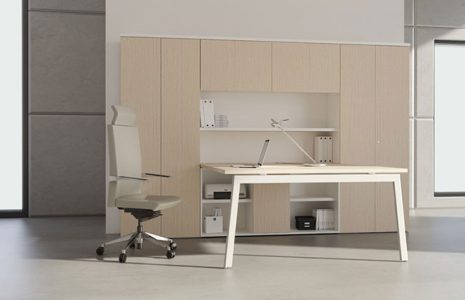 La ergonomía de la silla de dirección E+