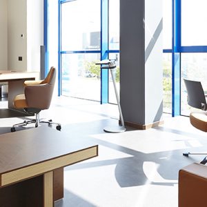 Elaboración del Proyecto de Decoración de las nuevas oficinas