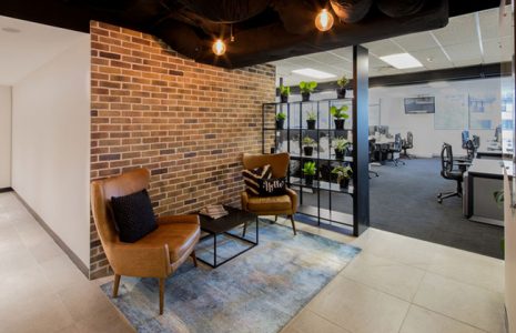 Porque utilizar plantas para la decoración de tu oficina