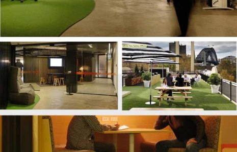 Llevar el verde dentro de la Oficina: ideas para decorar espacios de trabajo