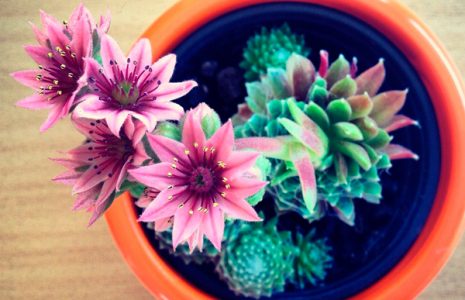7 consejos de diseño para una oficina mucho más productiva