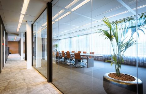 Plantas en tu lugar de trabajo