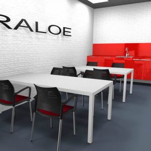 Proyecto Raloe
