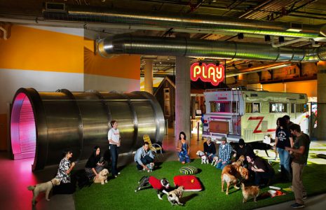 Un paseo por las espectaculares oficinas de Zynga